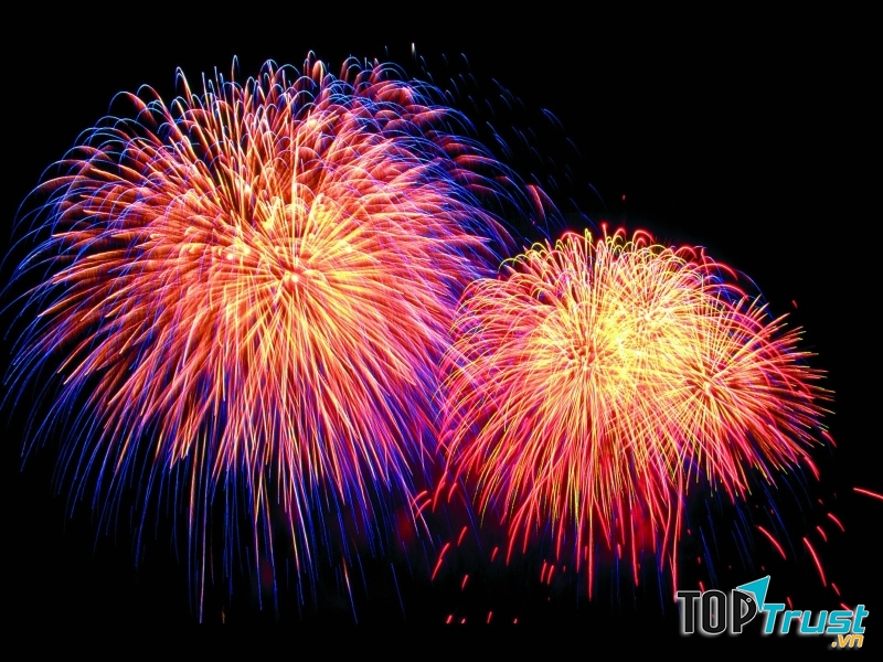 Ảnh minhh họa (nguồn Internet)