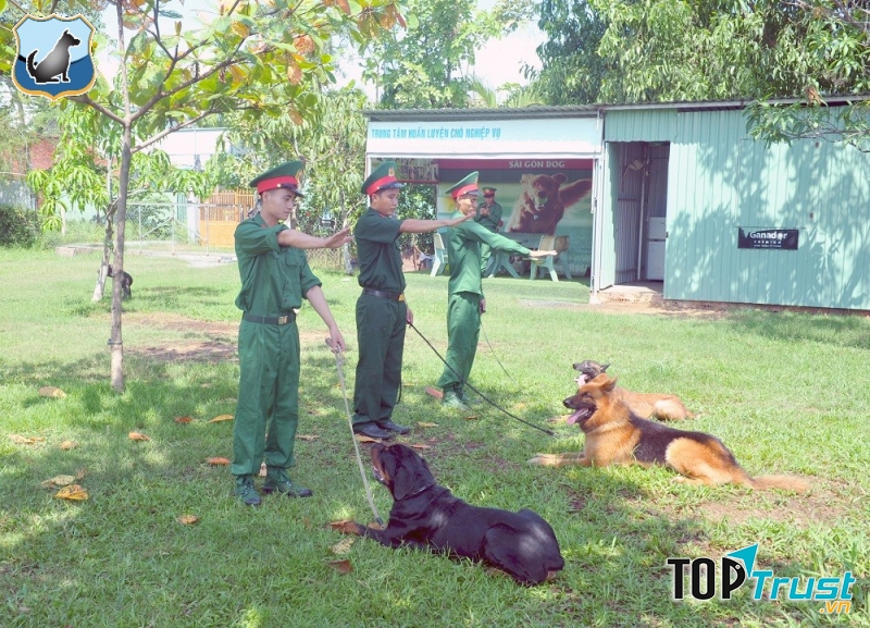 Trung Tâm Huấn Luyện Chó Chuyên Nghiệp 276