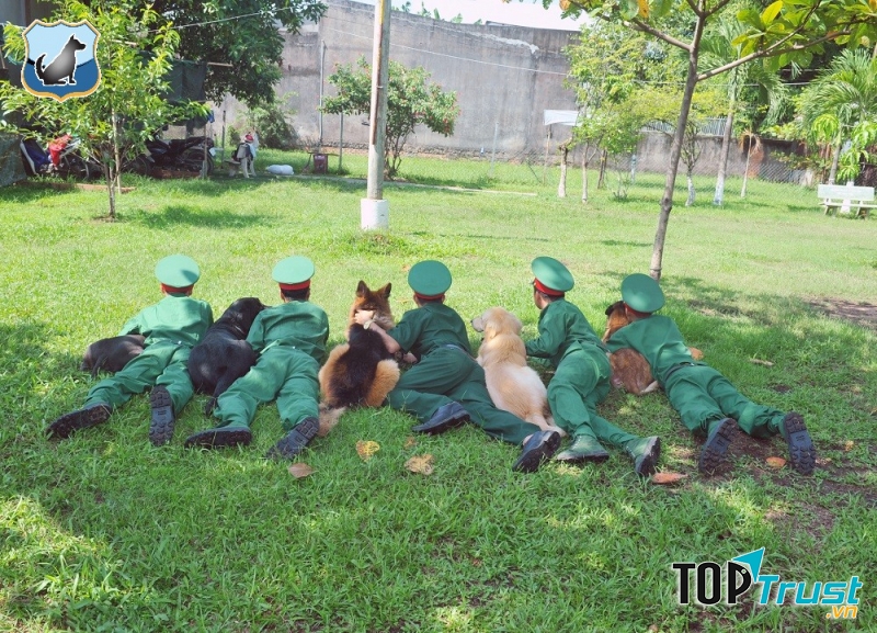 Trung Tâm Huấn Luyện Chó Chuyên Nghiệp 276