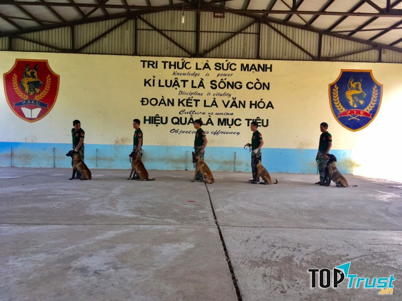 Trung tâm huấn luyện chó nghiệp vụ PDS - Việt Nam