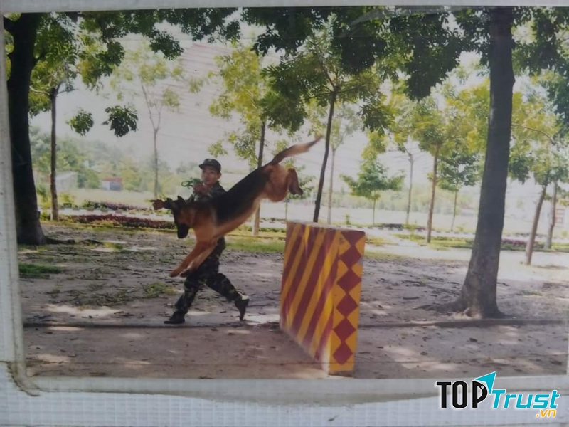 Động tác vượt chướng ngại vật