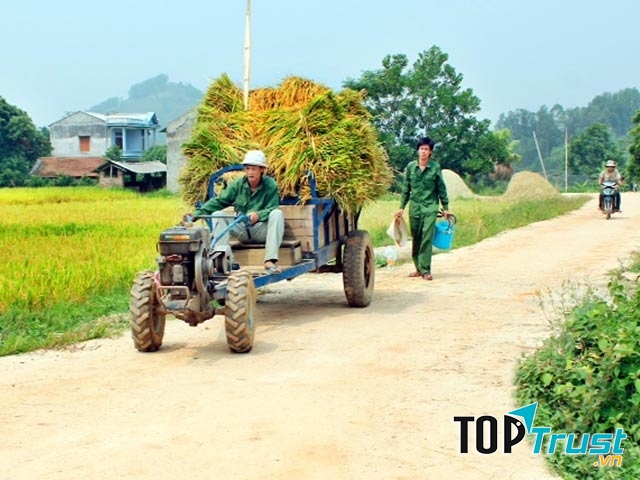 Trung tâm Khuyến nông Quốc gia: http://www.khuyennongvn.gov.vn