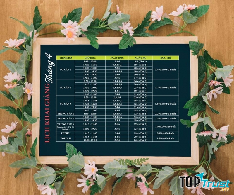 Trung Tâm Ngoại Ngữ Ecc