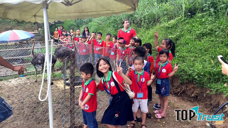 Trung Tâm Ngoại Ngữ Việt Trì cho các con đi dã ngoại.