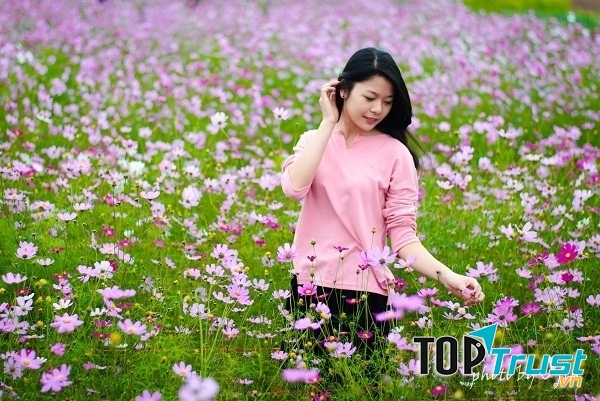 Trung tâm Nhiếp Ảnh PhotoLife