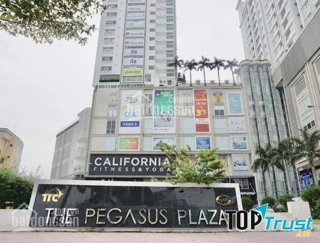 The Pegasus Plaza