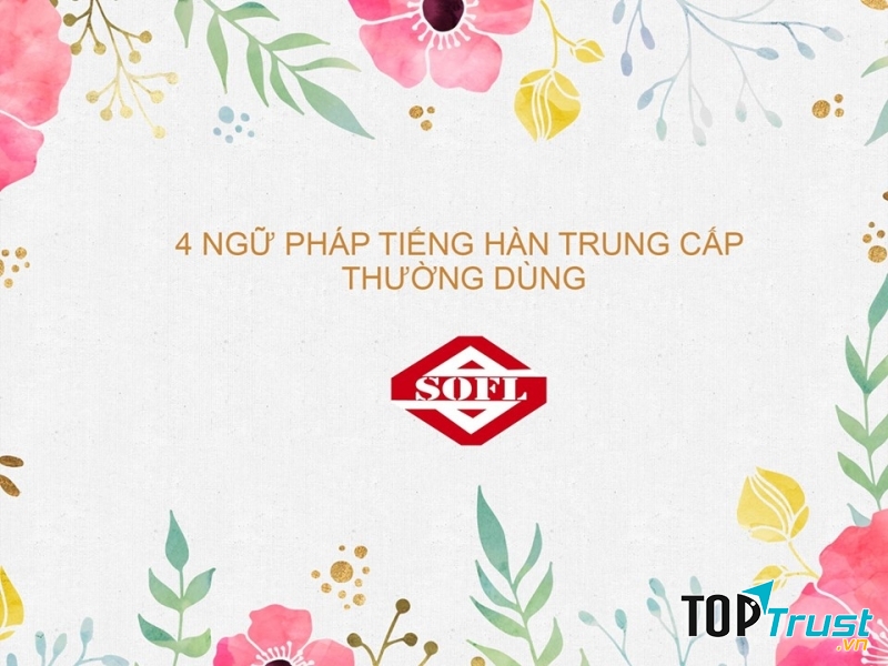 Trung tâm Tiếng Hàn Soft