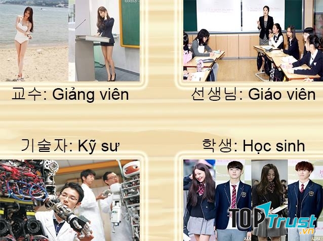 Trung tâm Tiếng Hàn Soft