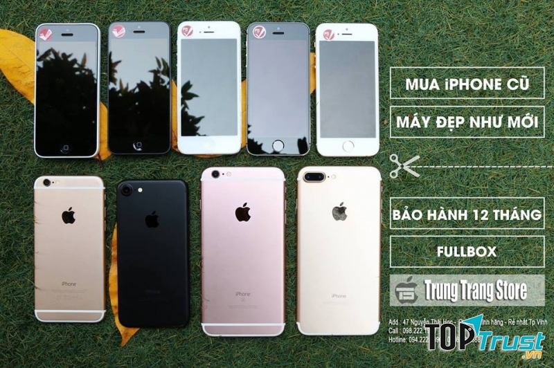 Mẫu mã đa dạng