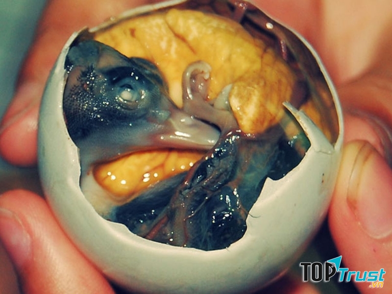 Trứng vịt lộn (Việt Nam)