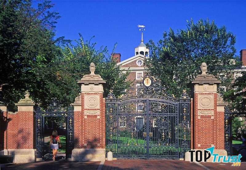 Không phân biệt tín ngưỡng hay tôn giáo - đại học Brown