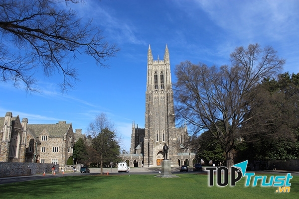 Trường đại học Duke