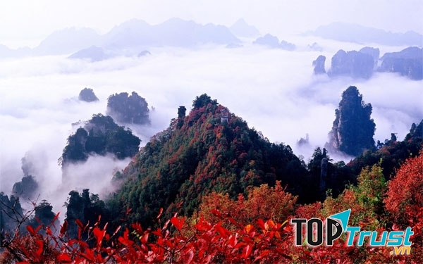 Mỗi mùa là mỗi sắc riêng
