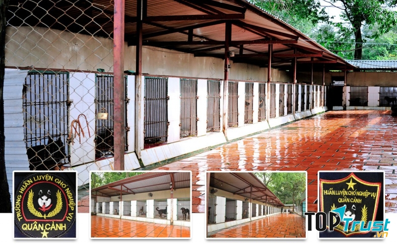 Trường huấn luyện chó Quân Cảnh TPHCM