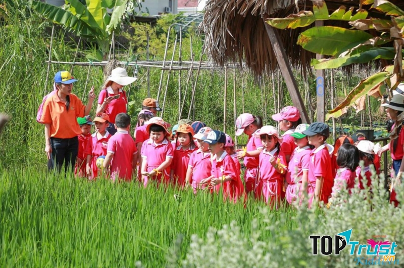 Trường Mầm non Canarykids Preschool
