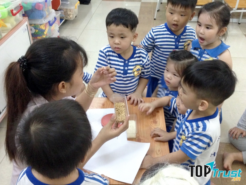 Trường mầm non Hoa Mai - Quận 5