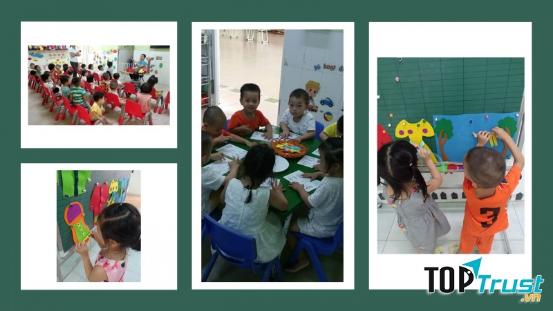 Mầm Non Hoa Mặt Trời