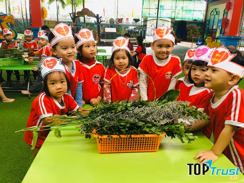 Trường Mầm Non Hoa Trạng Nguyên