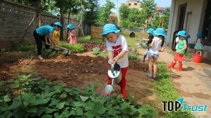 Trường mầm non Koala House