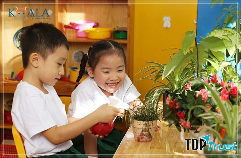 Trường mầm non Koala House