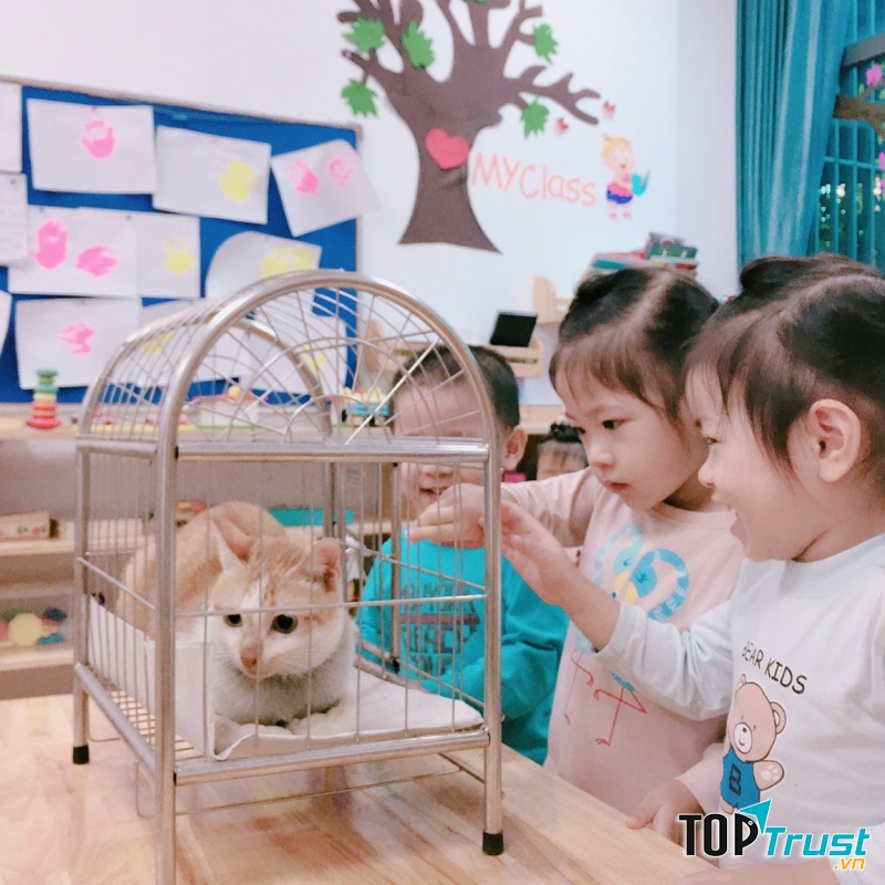 Trường Mầm non Ngôi Nhà Xanh (Emilia House)