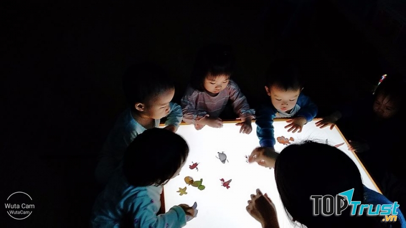 Trường mầm non Ngôi Nhà Xanh