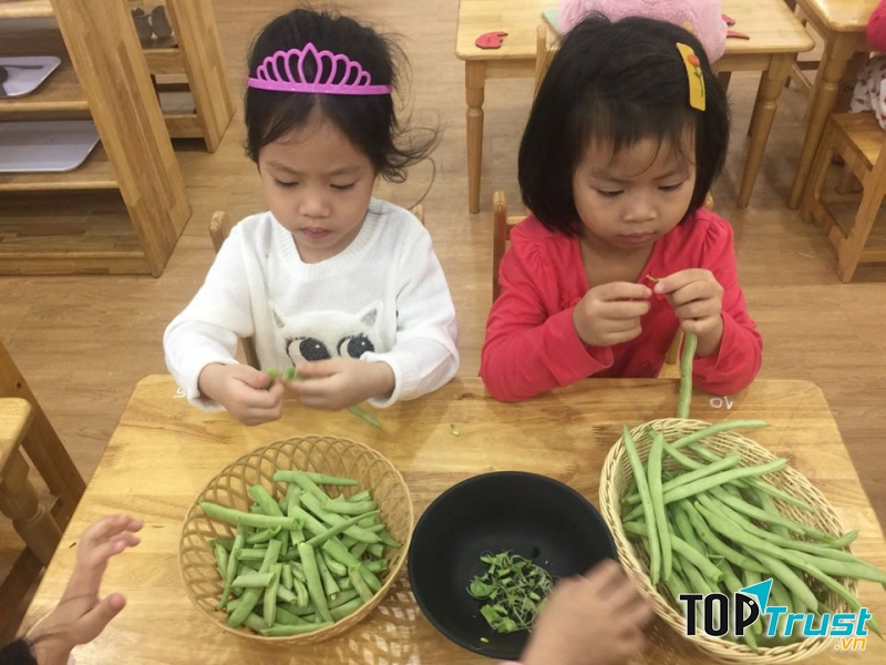 Trường mầm non Skyline