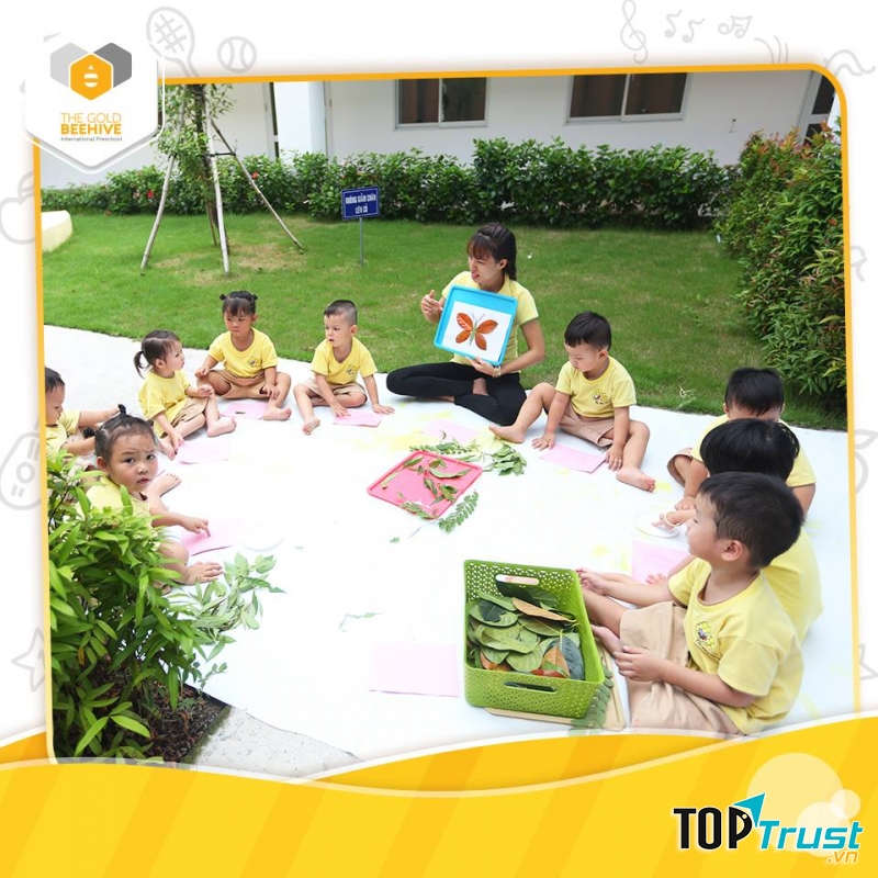 Trường mầm non The Gold Beehive