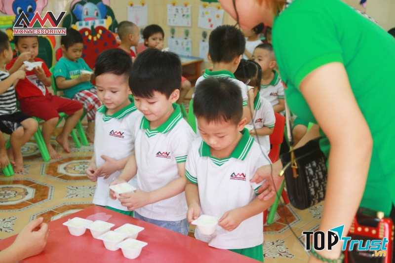 Trường Mầm non Thực Nghiệm AMV Hải Phòng