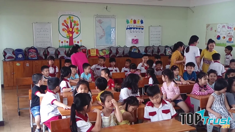 Trường Mầm non - Tiểu học Trí Tuệ Việt