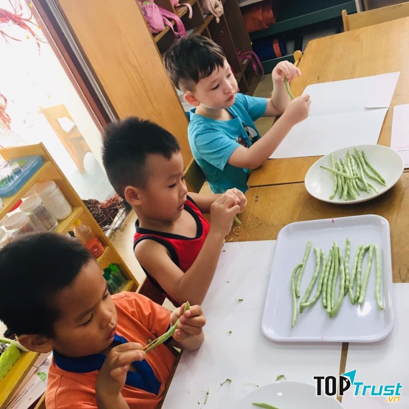 Trường mầm non Tomoe House