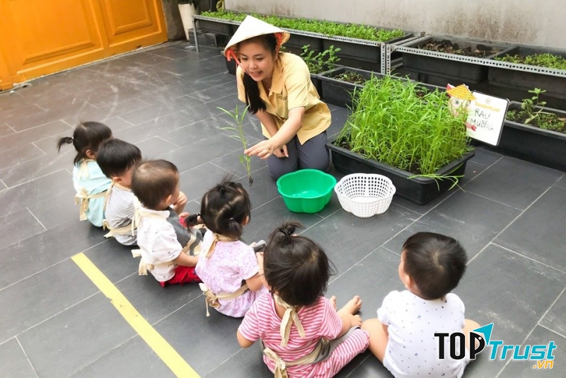 Trường Mầm Non Tomorrowland