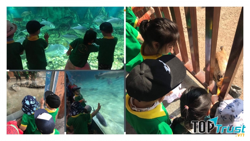 Trường quốc tế Global