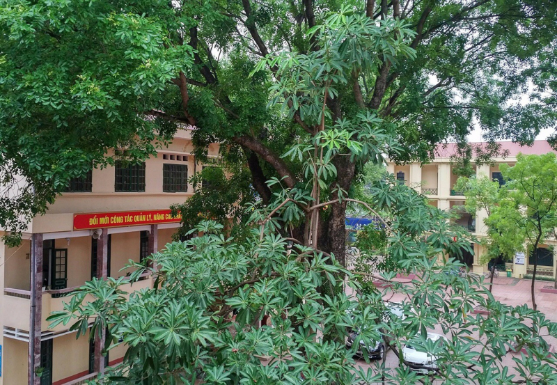 Ảnh minh họa (nguồn internet)