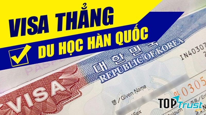 Lưu ý về trường visa thẳng và trường phỏng vấn