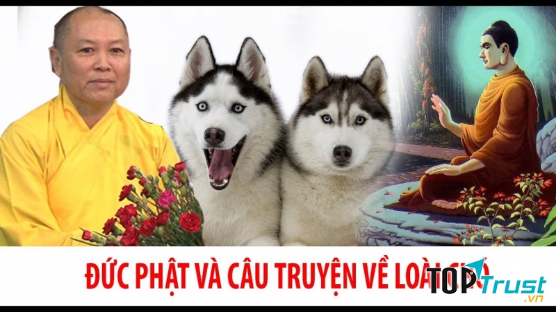 Ảnh minh hoạ