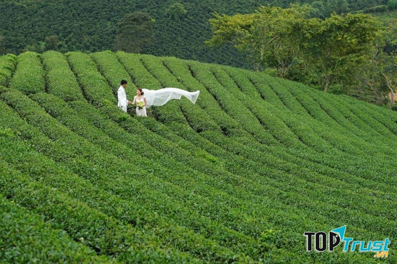 T.SEN Studio