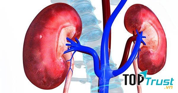 Từ 17-19 giờ: Thời gian giải độc thận