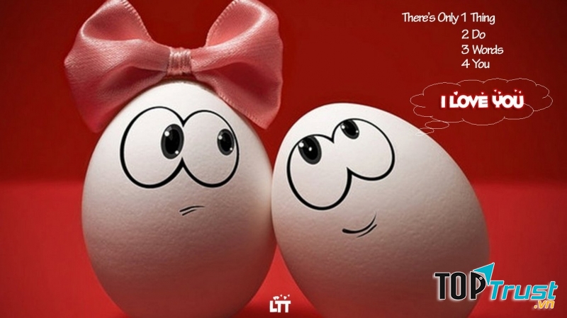 Tình yêu là khái niệm gắn liền với cảm xúc chứ không phải lí trí