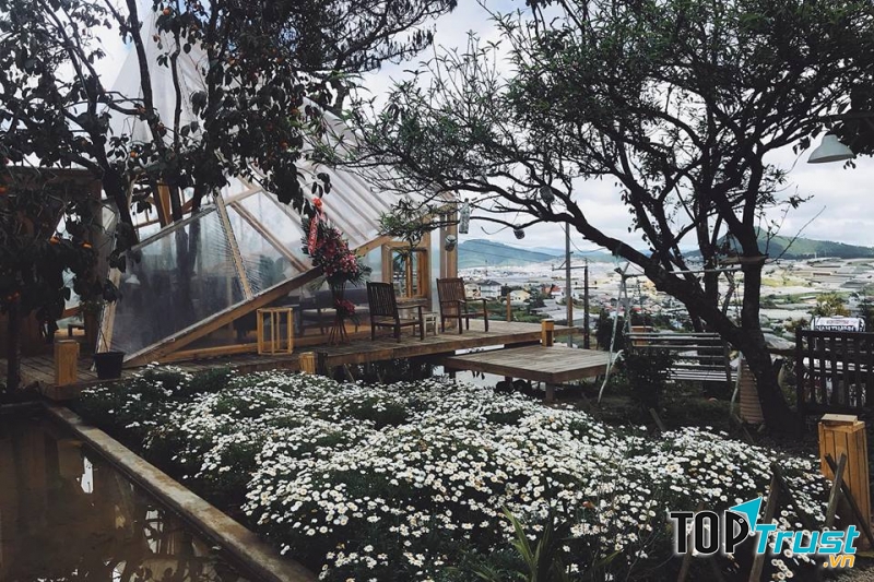 Bạn có thể tự mở một quán cà phê ở Đà Lạt