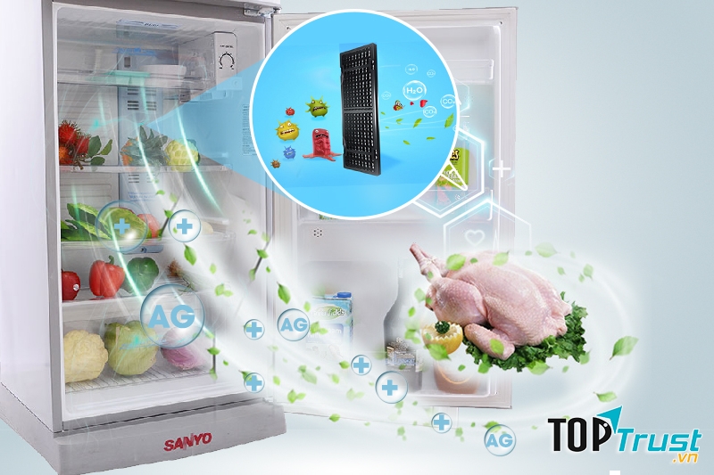 Tủ Lạnh SANYO 205 Lít SR-S205PN, SN