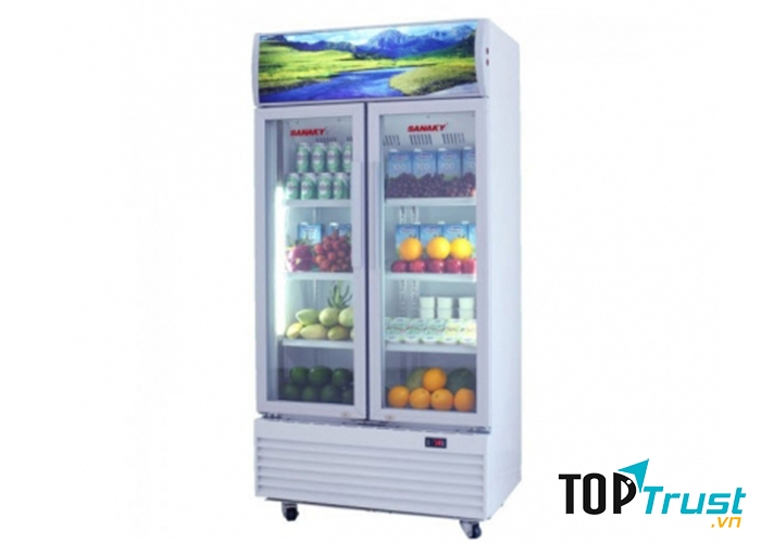 Tủ mát Sanaky VH-609HP
