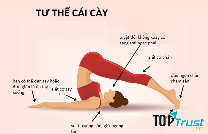 Tư thế cái cày