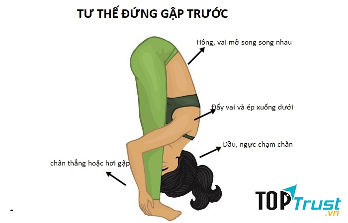 Tư thế đứng gập người