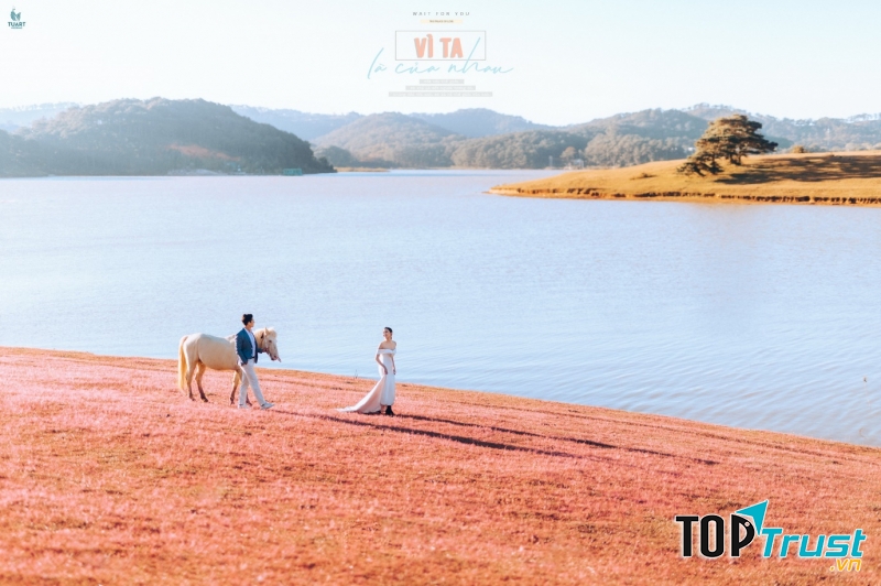 TuArt Wedding