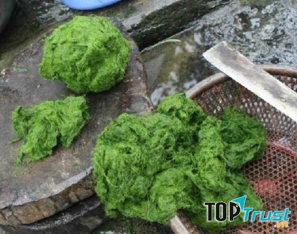 Canh rêu đá đó là rêu đá sau khi dùng chày đập nát và loại bỏ hết tạp chất