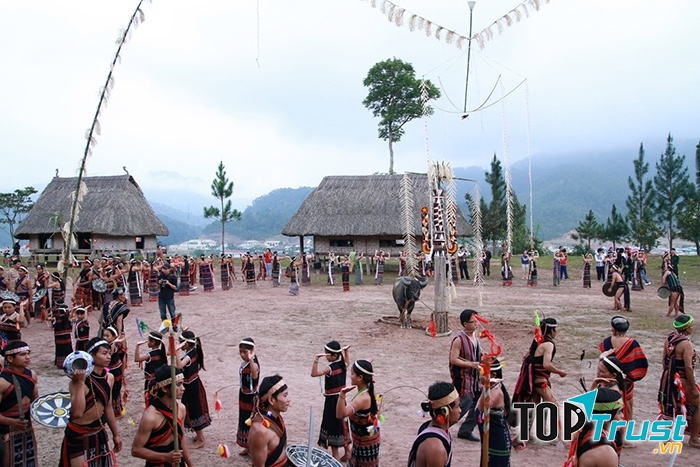 Tục lệ khóc tế trâu thường nói lên tình cảm nhớ thương, thương tiếc vì đã hi sinh con vật đã suốt đời gắn bó, phục vụ con người.