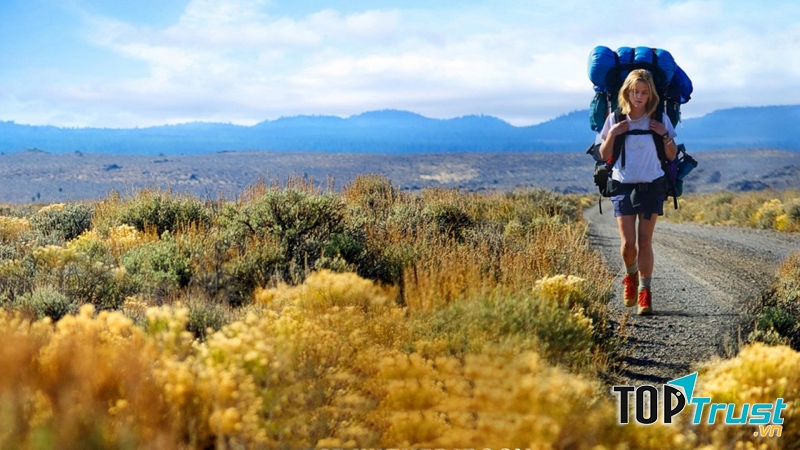 Ảnh minh họa - nguồn internet