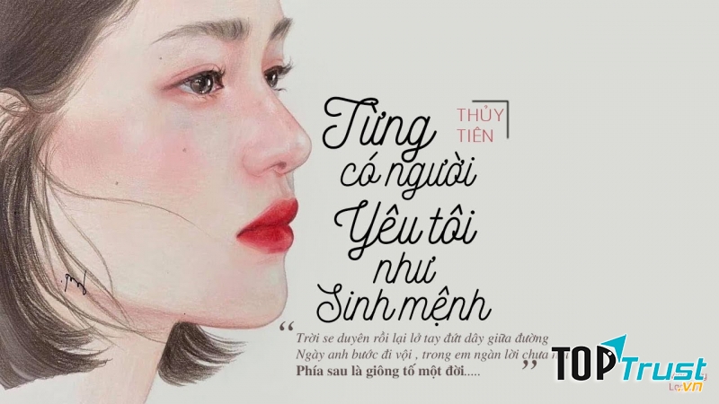 Hình minh họa tiểu thuyết Từng có người yêu tôi như sinh mệnh.