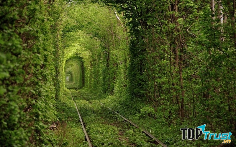 Tunnel of Love - Kleven, Ukraine
